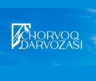 Partner 12